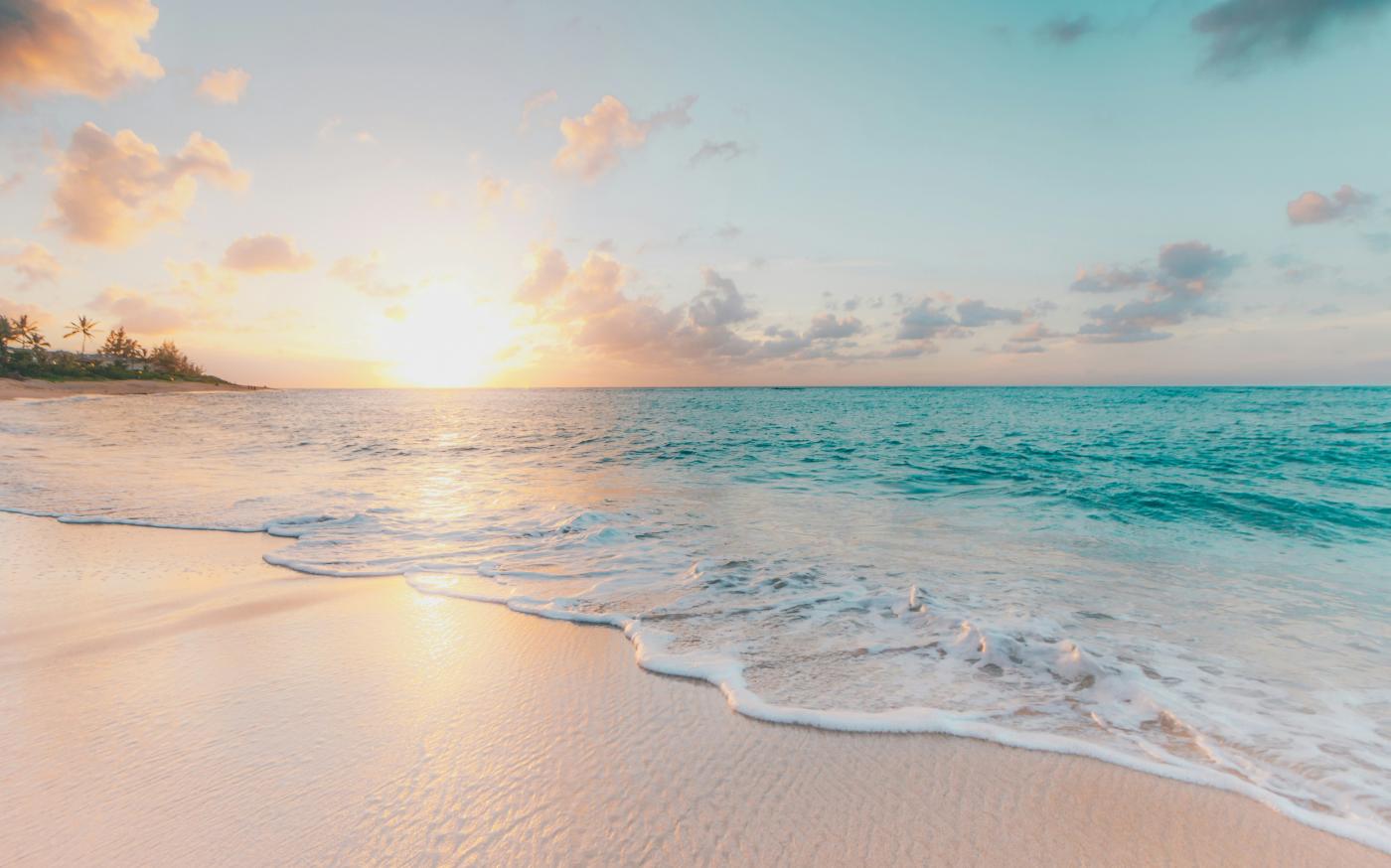 seashore during golden hour by Sean Oulashin courtesy of Unsplash.