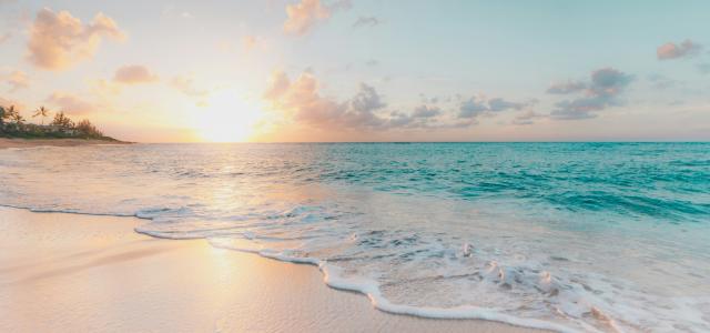 seashore during golden hour by Sean Oulashin courtesy of Unsplash.